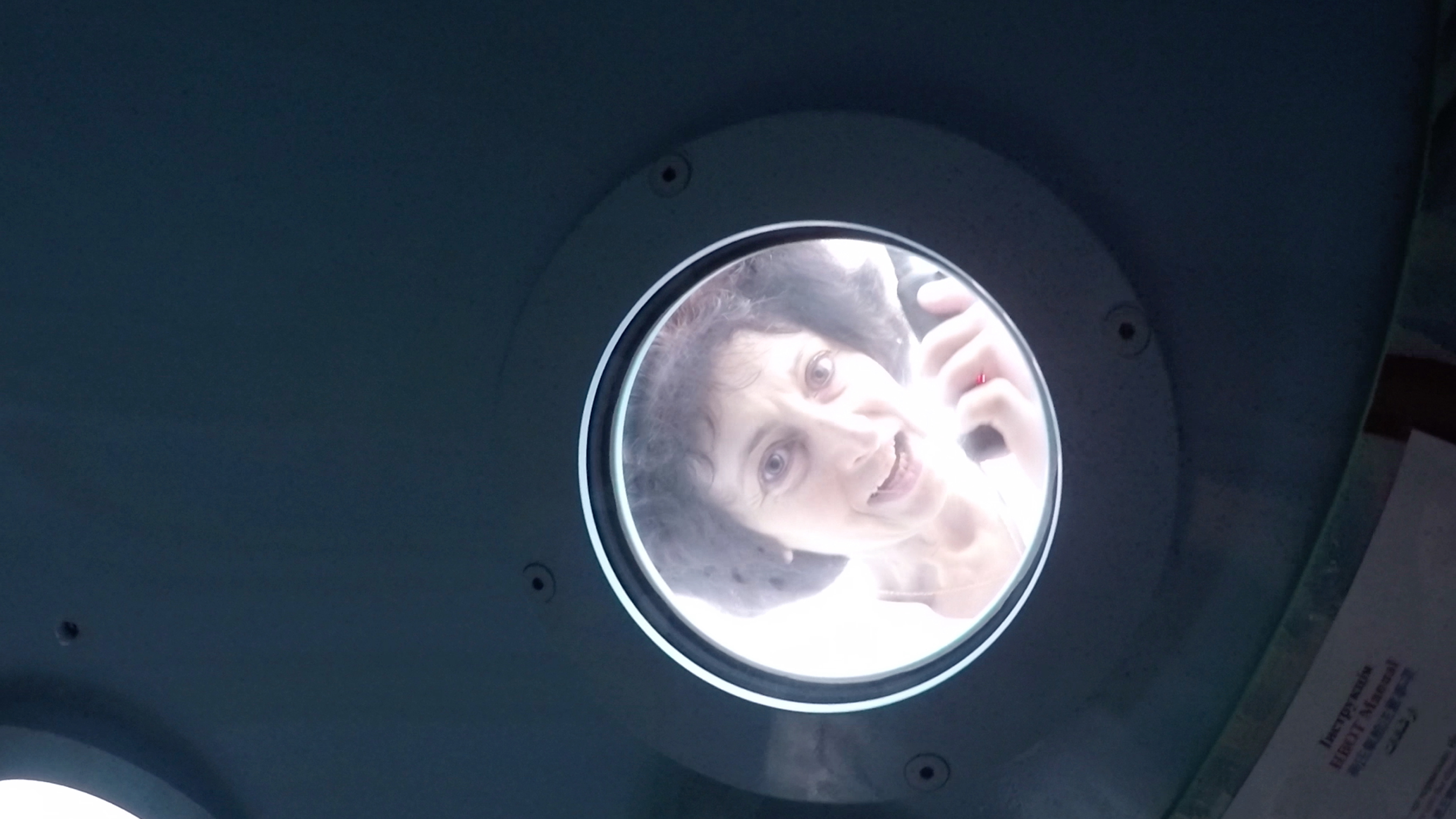 The God Cells: A Fetal Stem Cell Journey