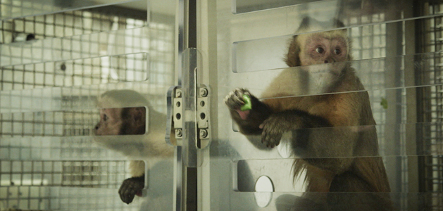 The Price of Fairness