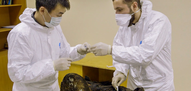 Resurrecting the Wooly Mamouth