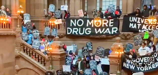 The Reality of Legalizing Cocaine, Heroin, and Ecstasy