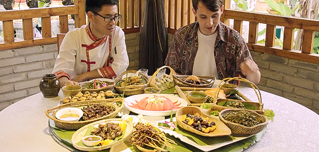 China’s Bug-Eating Industry