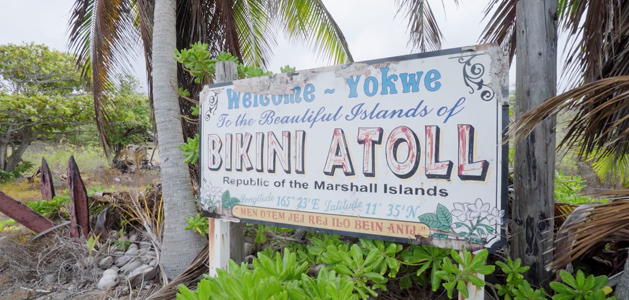 Nuked: Fallout on the Forgotten Shore