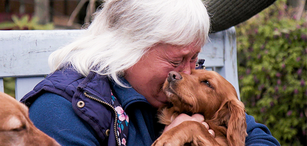 The Gangs That Steal Dogs