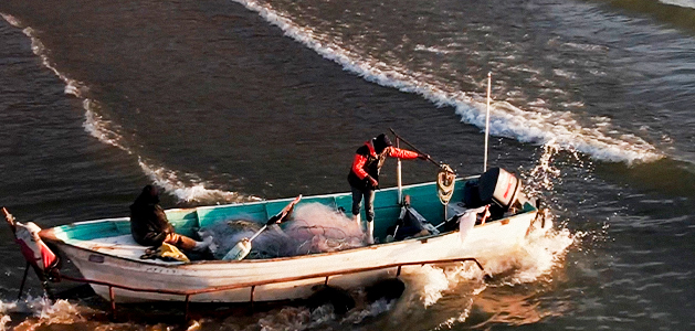 The Cartels Cash Catch