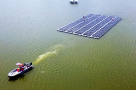 Climate Trailblazers: Reimagining Our Future