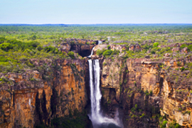 Australia: The Wild Continent