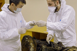 Resurrecting the Wooly Mamouth