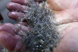 The Black Market for Eels