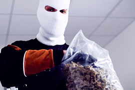 The Rise of Contaminated Weed