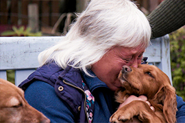 The Gangs That Steal Dogs