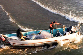 The Cartels Cash Catch