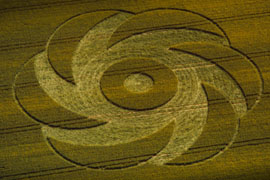 Crop Circles: Quest for Truth